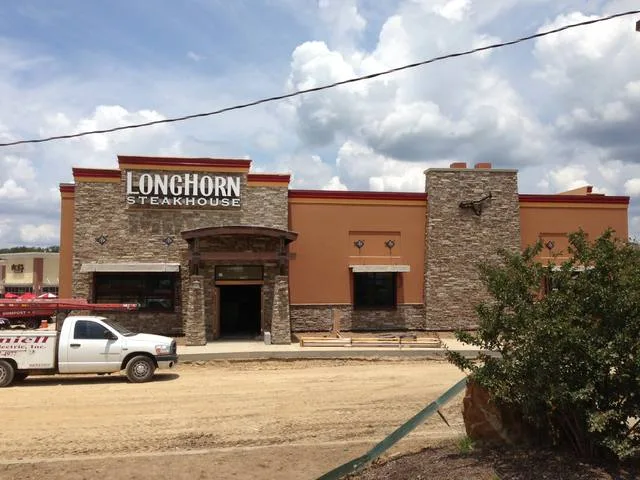 Longhorn - Wall Signs by Seiz Sign Company