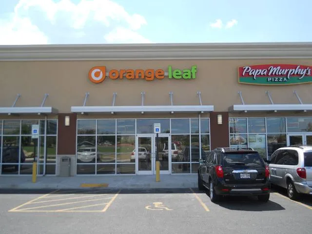 Orange Leaf - Channel Letters by Seiz Sign Company